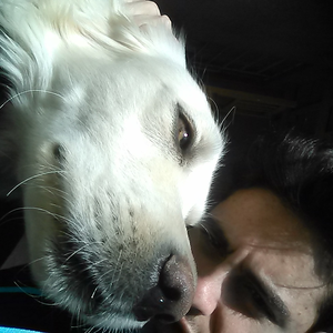 Foto de perfil de Eriel Bernardo Albino