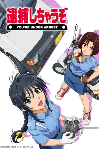 Poster de Franquia You're Under Arrest (1994)