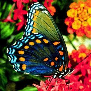 Foto de perfil de kamyle bezerra