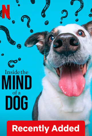 Poster 3 de Filme Dentro da Mente de um Cachorro (2024)