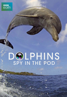 Dolphins - Spy in the pod (Dolphins - Spy in the pod)