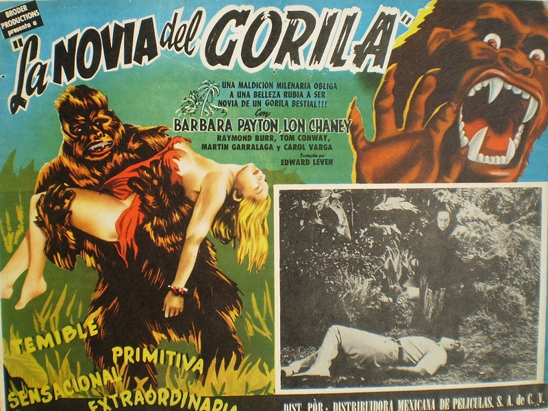 Foto 2 de A Noiva do Gorila