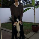 Foto de perfil de Guilherme
