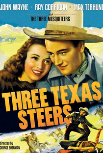 Três Cavaleiros do Texas - Poster / Capa / Cartaz - Oficial 1