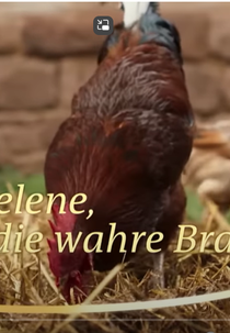 Helena, a verdadeira noiva (Helene, die wahre braut)