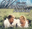 Wo der Wildbach rauscht