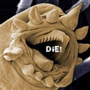 Foto de perfil de Pedro Salles