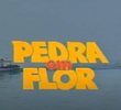 Pedra em Flor