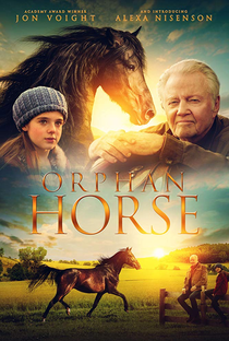 Orphan Horse - Poster / Capa / Cartaz - Oficial 1