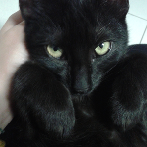 Foto de perfil de Ingrid