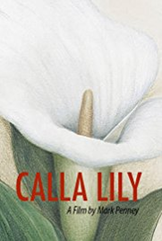 Poster 1 de Filme Calla Lily (2016)