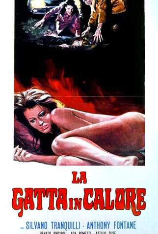 Poster 1 de Filme The Cat in Heat (1972)