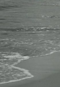 Surf and Seaweed (Surf and Seaweed)