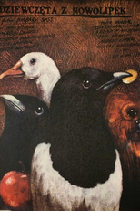 The Girls of Nowolipki (Dziewczeta z Nowolipek)