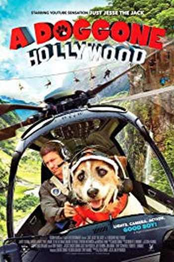 Poster de Filme A Doggone Hollywood (2017)
