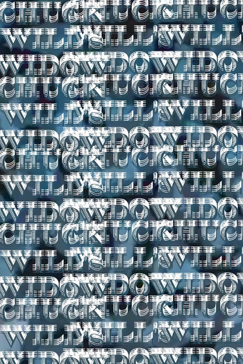 Poster de Curta Chuck’s Will’s Widow (1982)