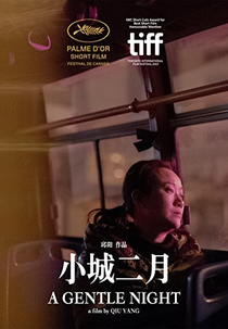 A Gentle Night (Xiao cheng er yue)