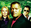 CSI: Investigação Criminal (10ª Temporada)