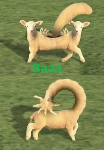 Baaa (Baaa)