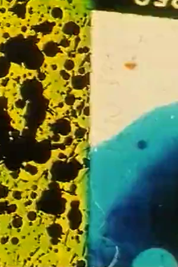Poster de Curta Rote Movie (1994)