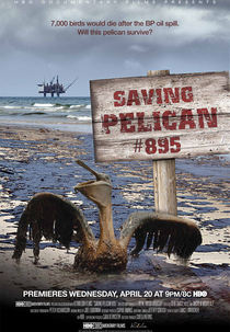 Salvando o Pelicano 895 (Saving Pelican 895)