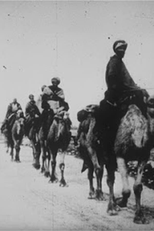 A Caravana dos Camelos (Caravane de chameaux)