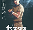Cestvs: The Roman Fighter