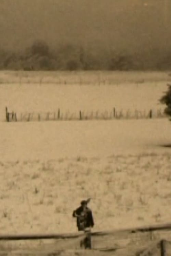 Poster de Filme El Mito de Narciso (2011)