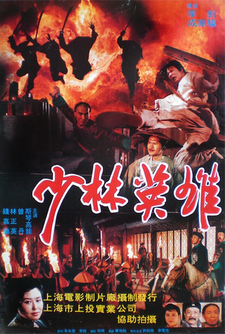 Poster 2 de Filme Os Vingadores de Shaolin (1994)