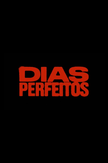 Poster de Franquia Dias Perfeitos (2025)