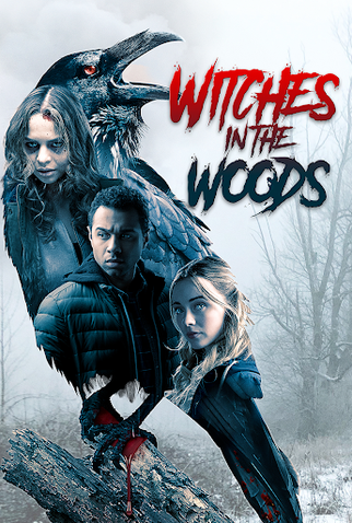 Poster 3 de Filme Witches in the Woods (2019)