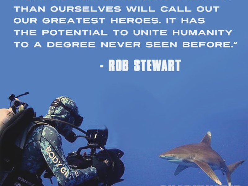 Foto 2 de Sharkwater Extinction