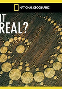 Verdade ou Mito? (Is It Real?)