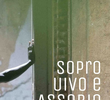 Sopro, Uivo e Assobio