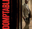 Indomptables