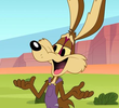 Looney Science