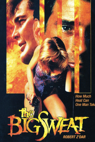 Poster 1 de Filme O Grande Golpe (1991)