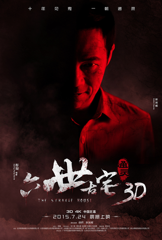 Poster 14 de Filme The Strange House (2015)