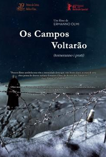 Os Campos Voltarão - Poster / Capa / Cartaz - Oficial 2