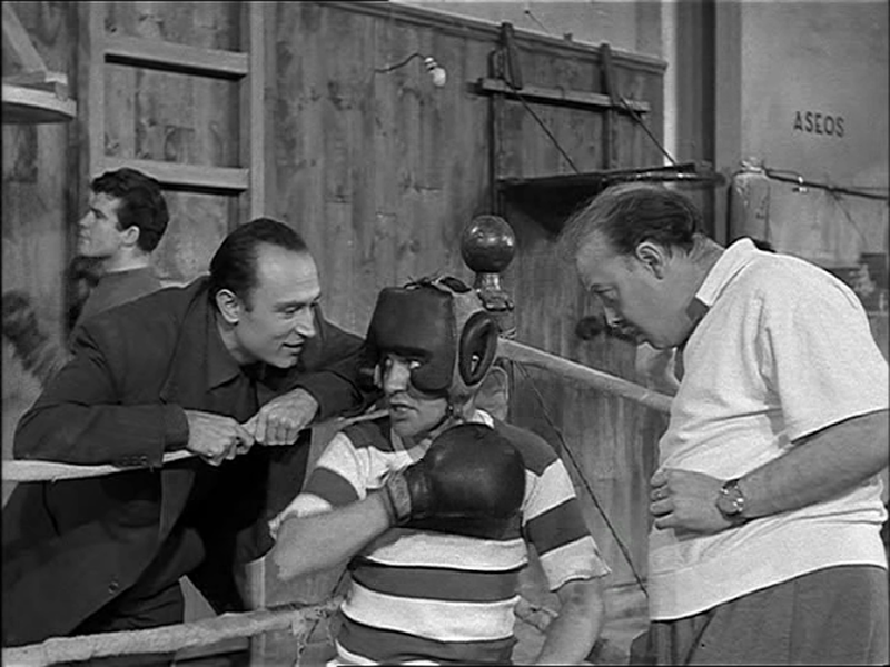 Foto 1 de O Tigre de Chamberí