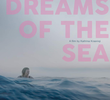 Vera Sonha com o Mar