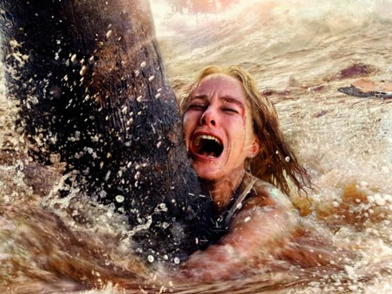 Foto 8 de O Impossível