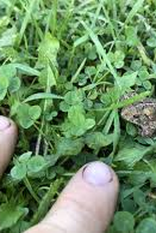 Poster 3 de Filme Say Goodbye (1970)