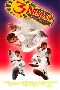 3 Ninjas em Apuros - Poster / Capa / Cartaz - Oficial 1