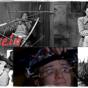 Foto de perfil de Golpe de Martelo