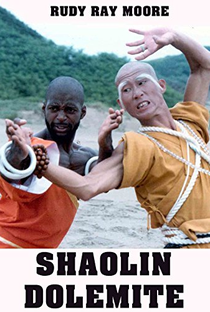 Shaolin Dolemite - Poster / Capa / Cartaz - Oficial 2