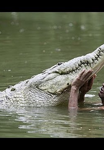 O Homem Que Nada com Crocodilos (The Man Who Swims With Crocodiles)