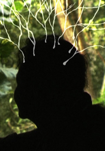 O Jardim de Minha Mãe (My Mother's Garden)