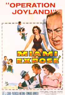 O Destino de um Gângster (Miami Exposé)