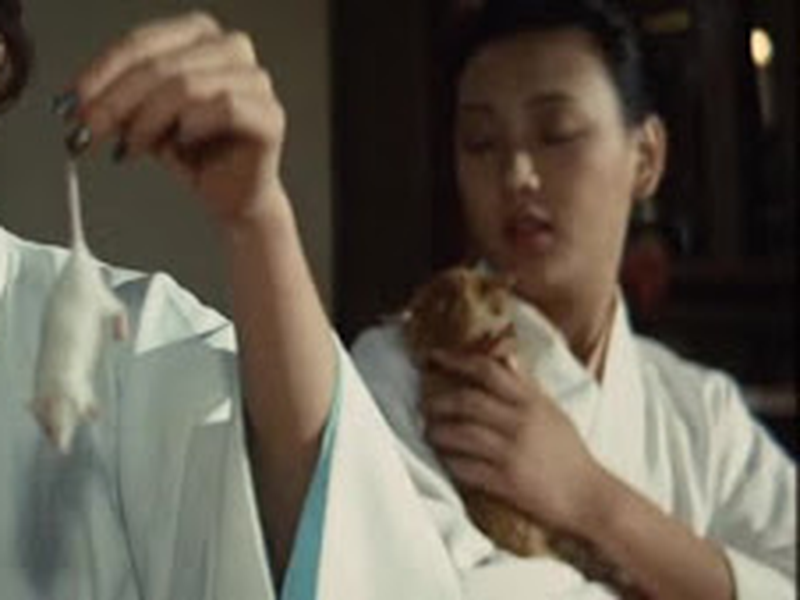 Foto 7 de Nuns That Bite